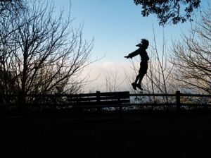 Silhouette of a boy jumping off of a park bench in Lincoln Park on a blue sky filled day in Seattle.