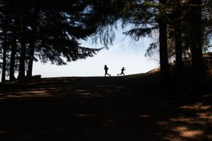 Silhouette image: two brothers run in opposite directions at the top of the Poo Poo Point trail near Seattle Washington.