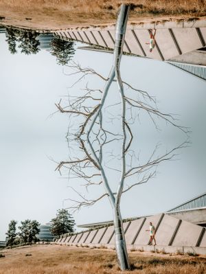 Mirror image of metal tree and model at the Olympic Sculpture Park Seattle.