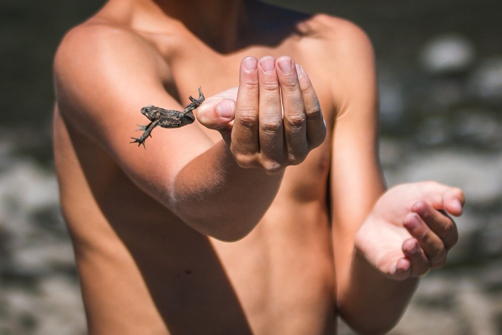 Close up of a tiny frog jumping to escape out of boys hand