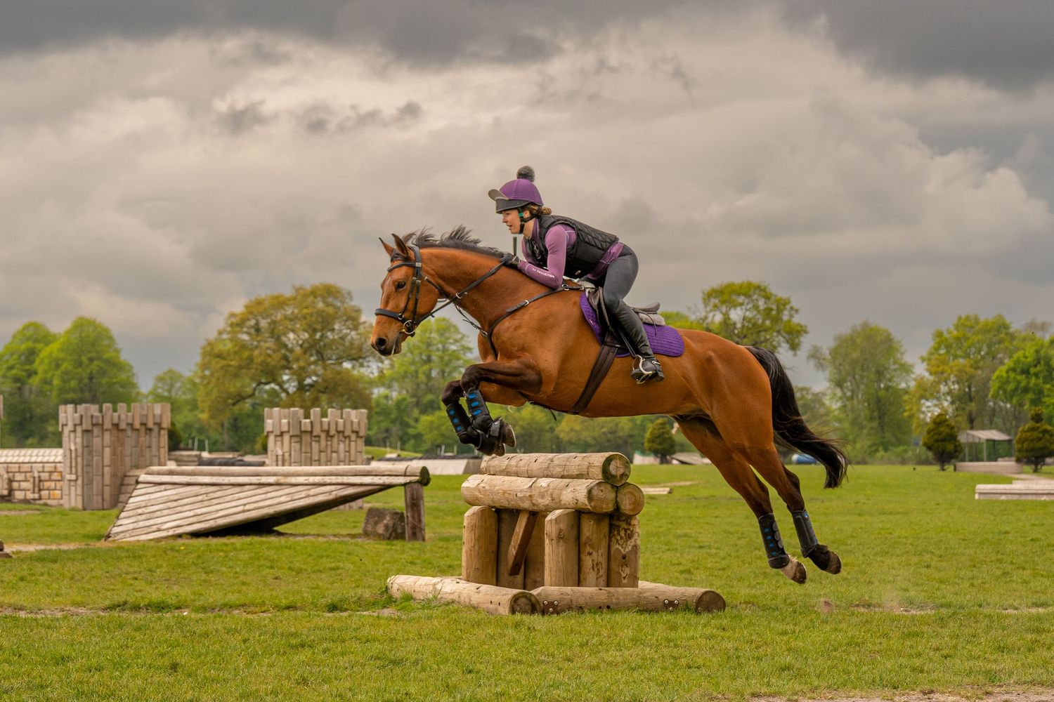Jason Stuart Photography , West Yorkshire Wedding Photographer-pet photography - Equine Showjumping Horse Photographer