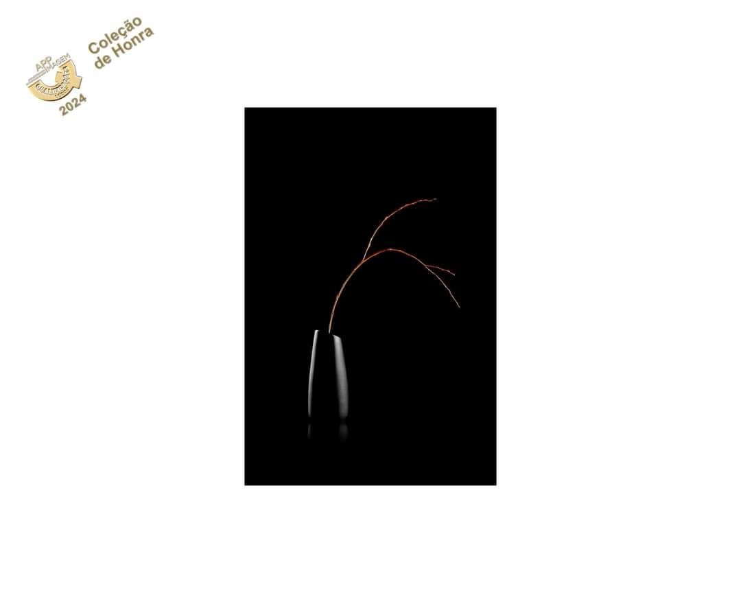 Fotógrafo premiado de Coimbra e Cantanhede