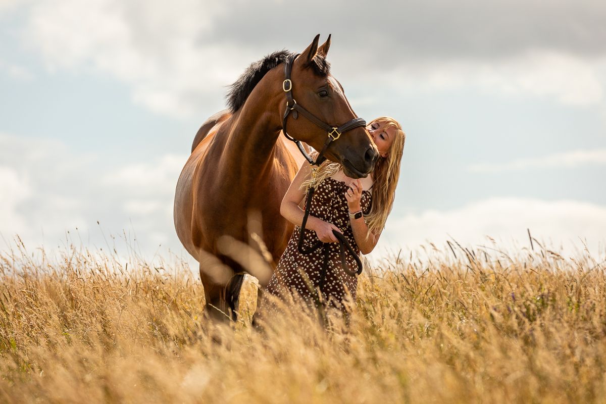 A brown horse stands among tall golden grass under cloudy skies.