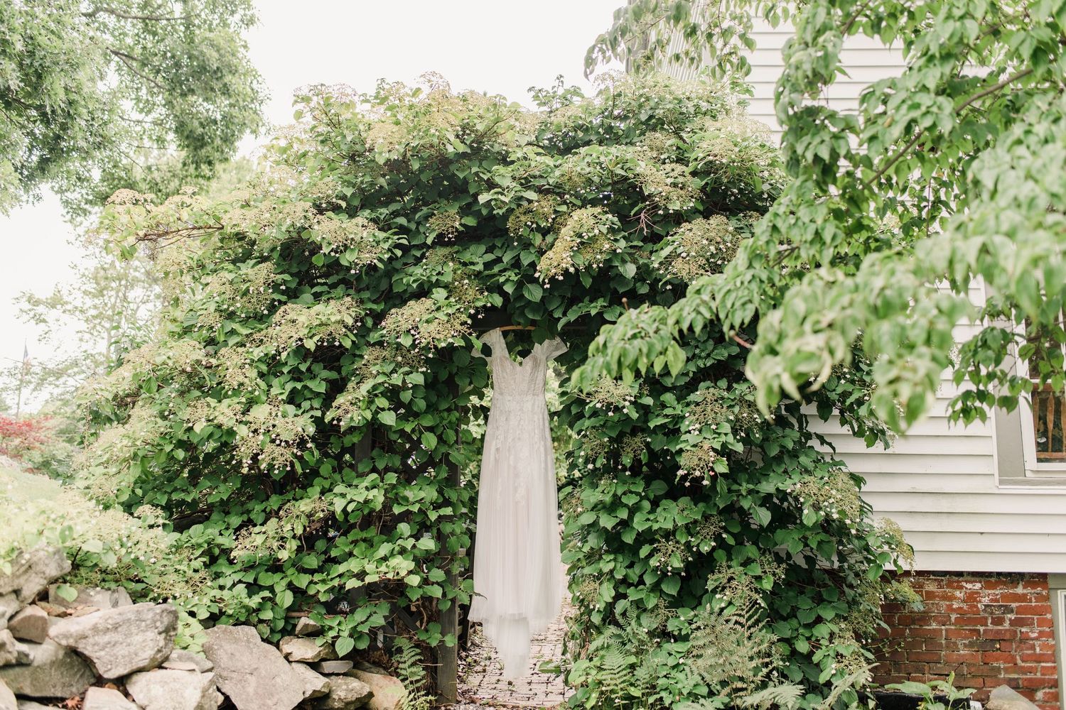 Wedding gown hanging in vines at cottage inn Peaks Island Maine