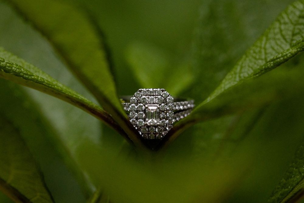 Elegant diamond engagement ring nestled on a green leaf with natural bokeh.