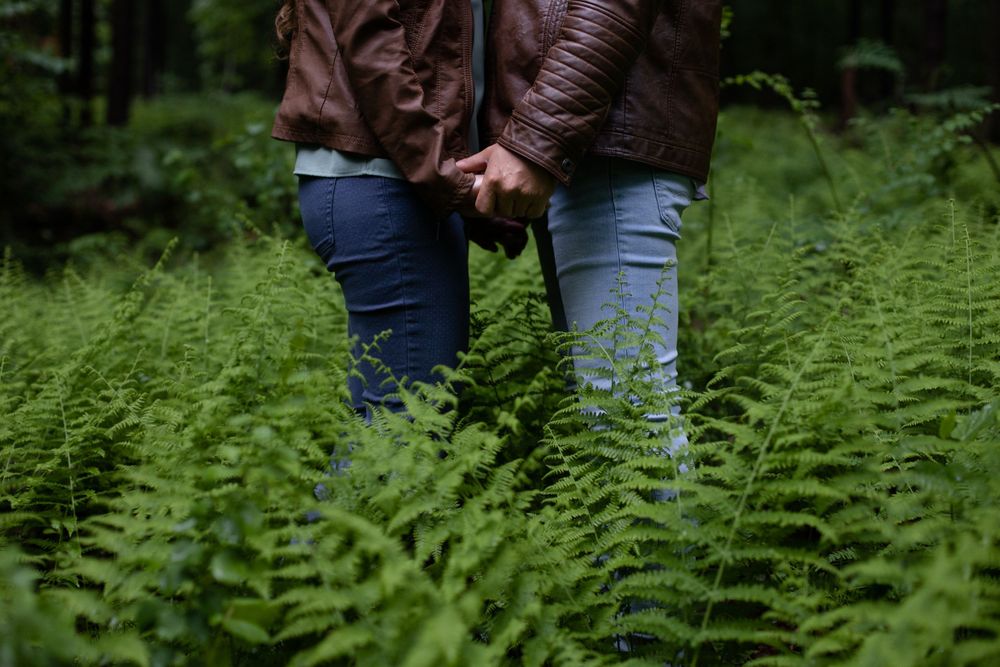 Couple holding hands while standing in lush green ferns in a forest setting.