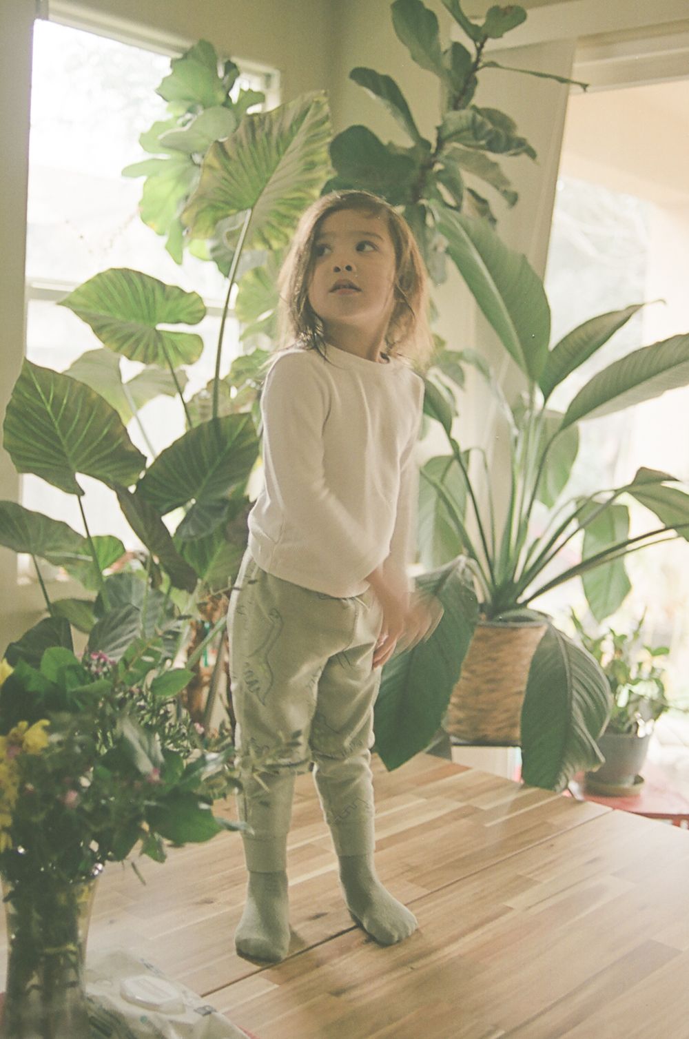 A toddler in white and green explores a bright room filled with indoor plants.