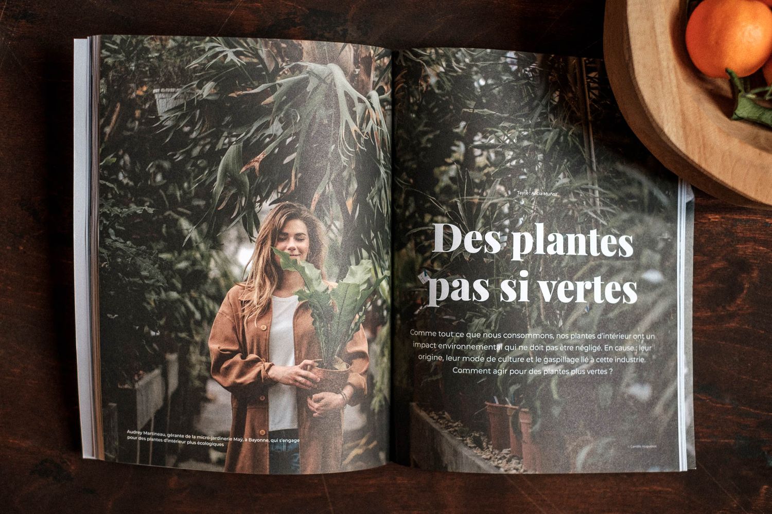 revue-presse-veir-magazine-may-jardinerie-bayonne-photographie