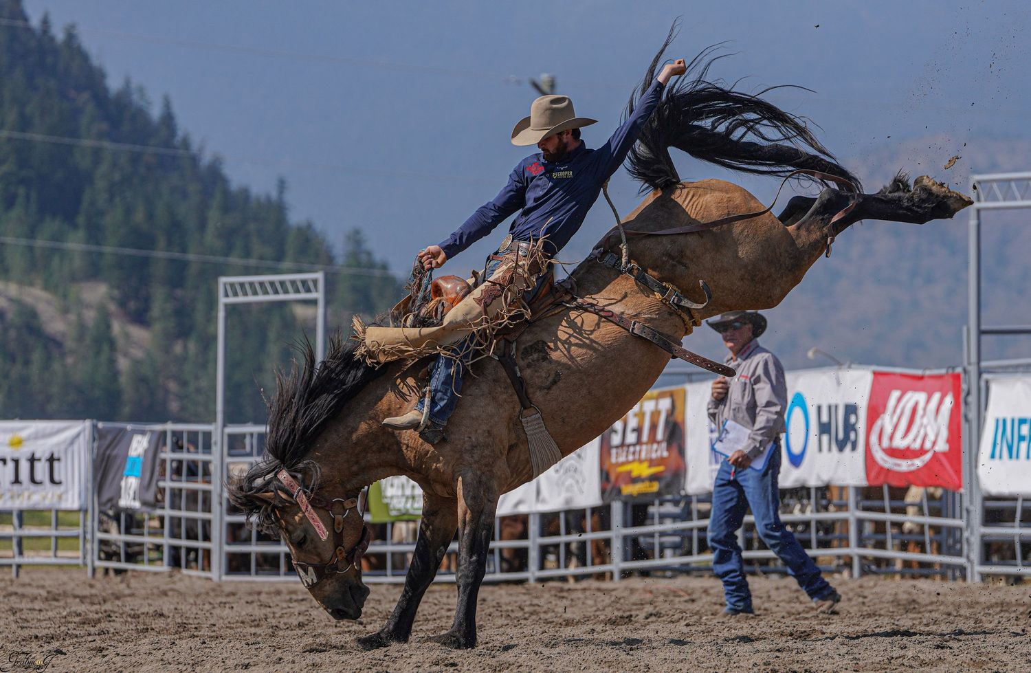 Central Alberta Rodeo Photographer