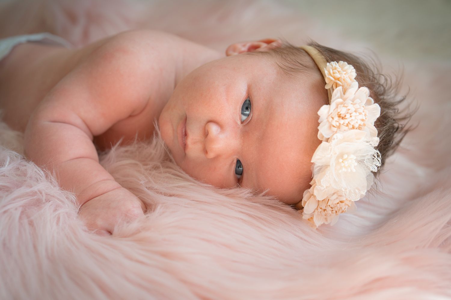 newborn soft pillow portrait