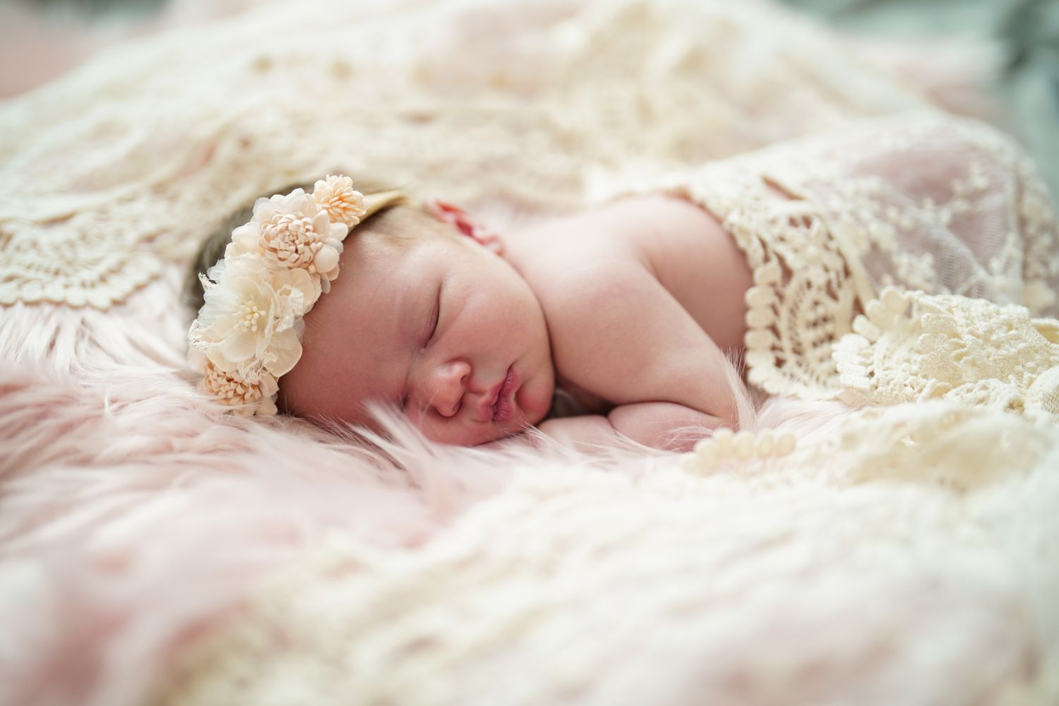 Baby Newborn Portrait