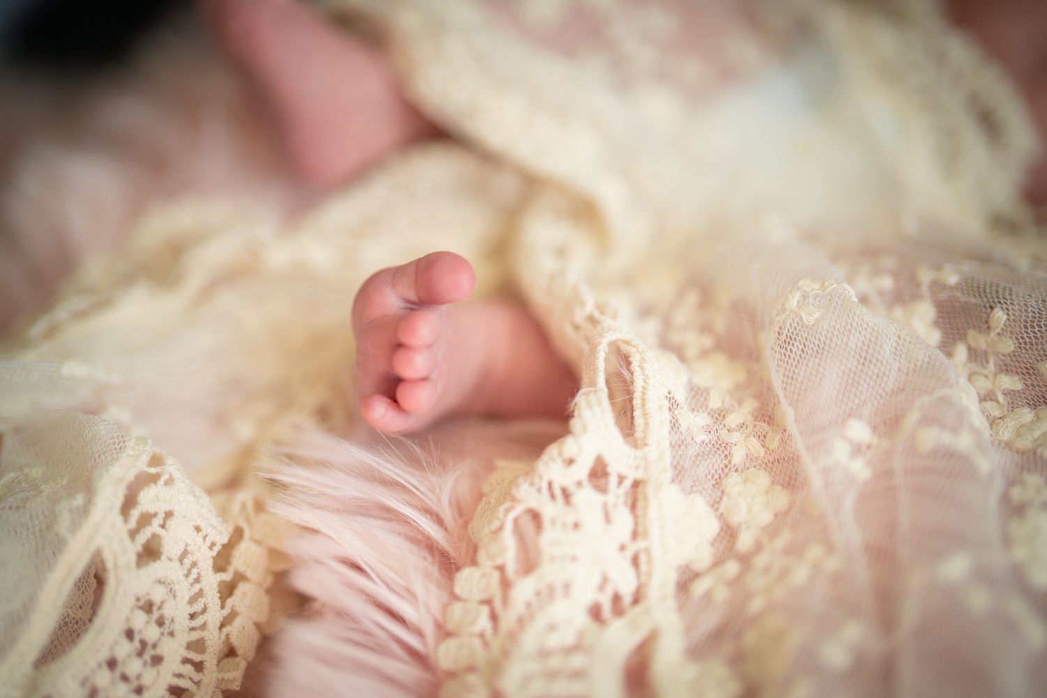 newborn toes photography