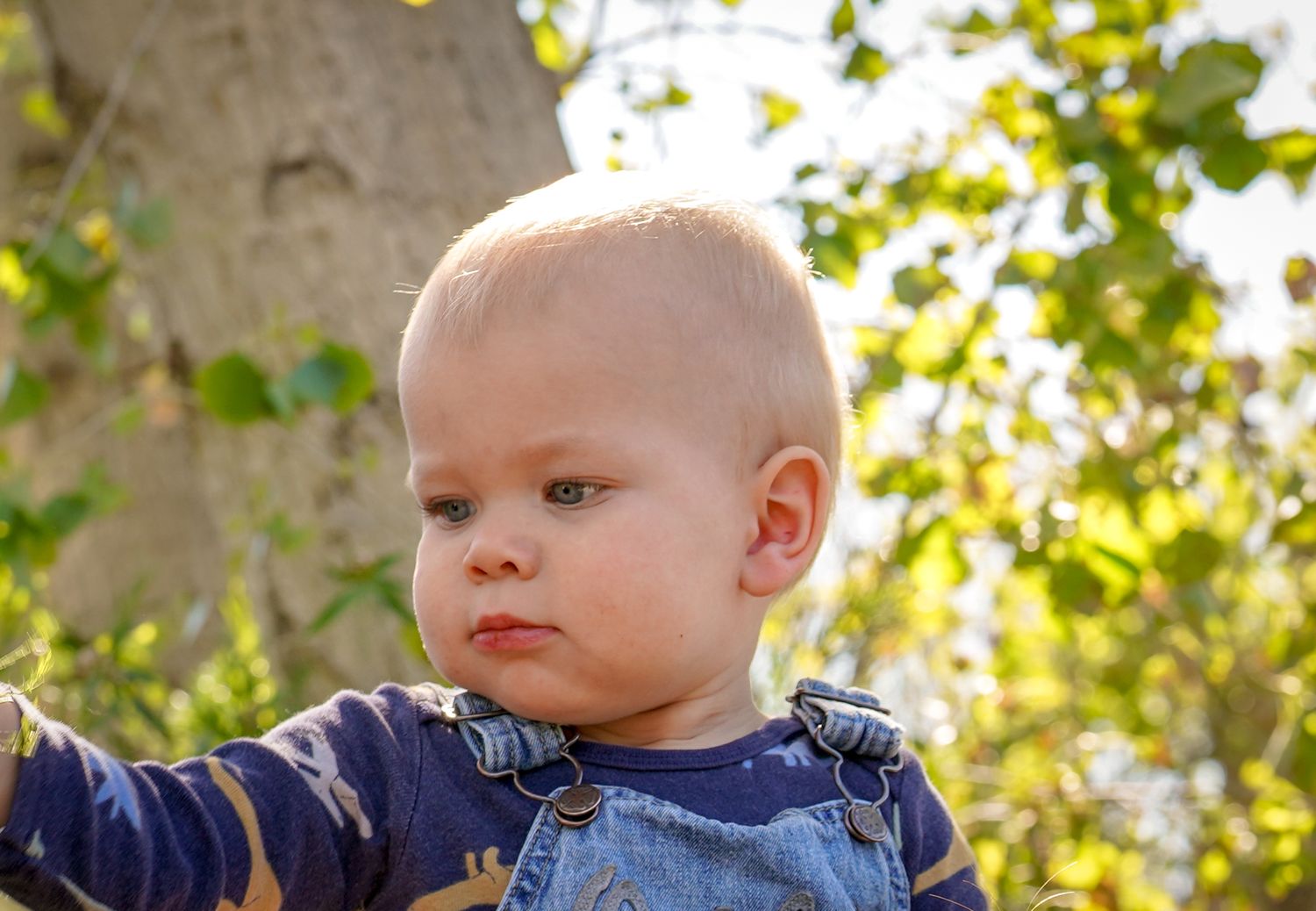 toddler outdoor fresh air photo