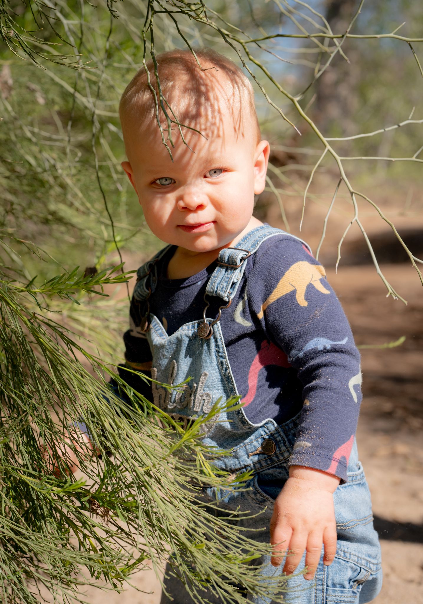 park hiking trail youth toddler portrait