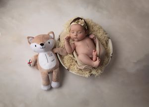 Sleeping newborn in basket with stuffed fox toy companion.