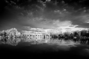Peaceful Reflection || Prospect Ponds--Fort Collins, Colorado