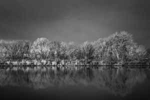 Still Waters || Prospect Ponds || Fort Collins, Colorado