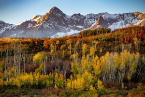 Mount Sneffels || Ridgeway, Colorado