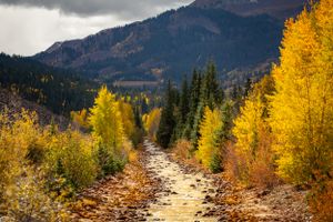 Fall Colors || Telluride, Colorado
