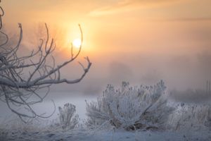 Early Morning Fog & Snow ||  Fort Collins, Colorado