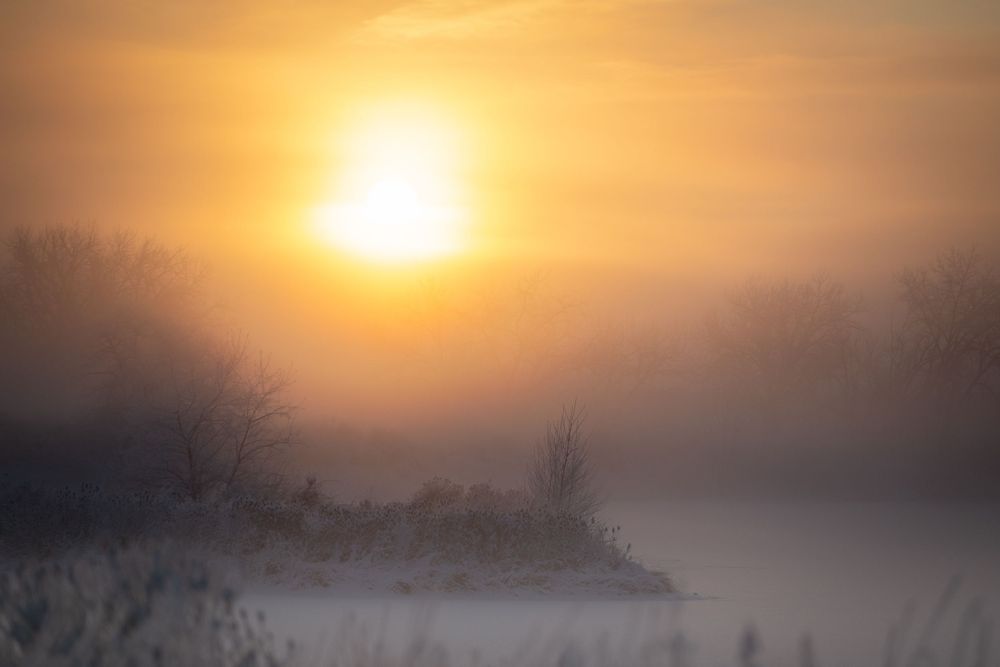 Foggy Winter Sunrise || Fort Collins, Colorado