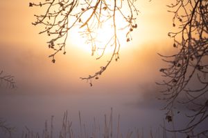 Foggy Winter Sunrise || Fort Collins, Colorado