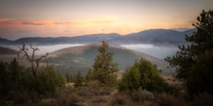 Foggy Morning || Glacier View, Colorado