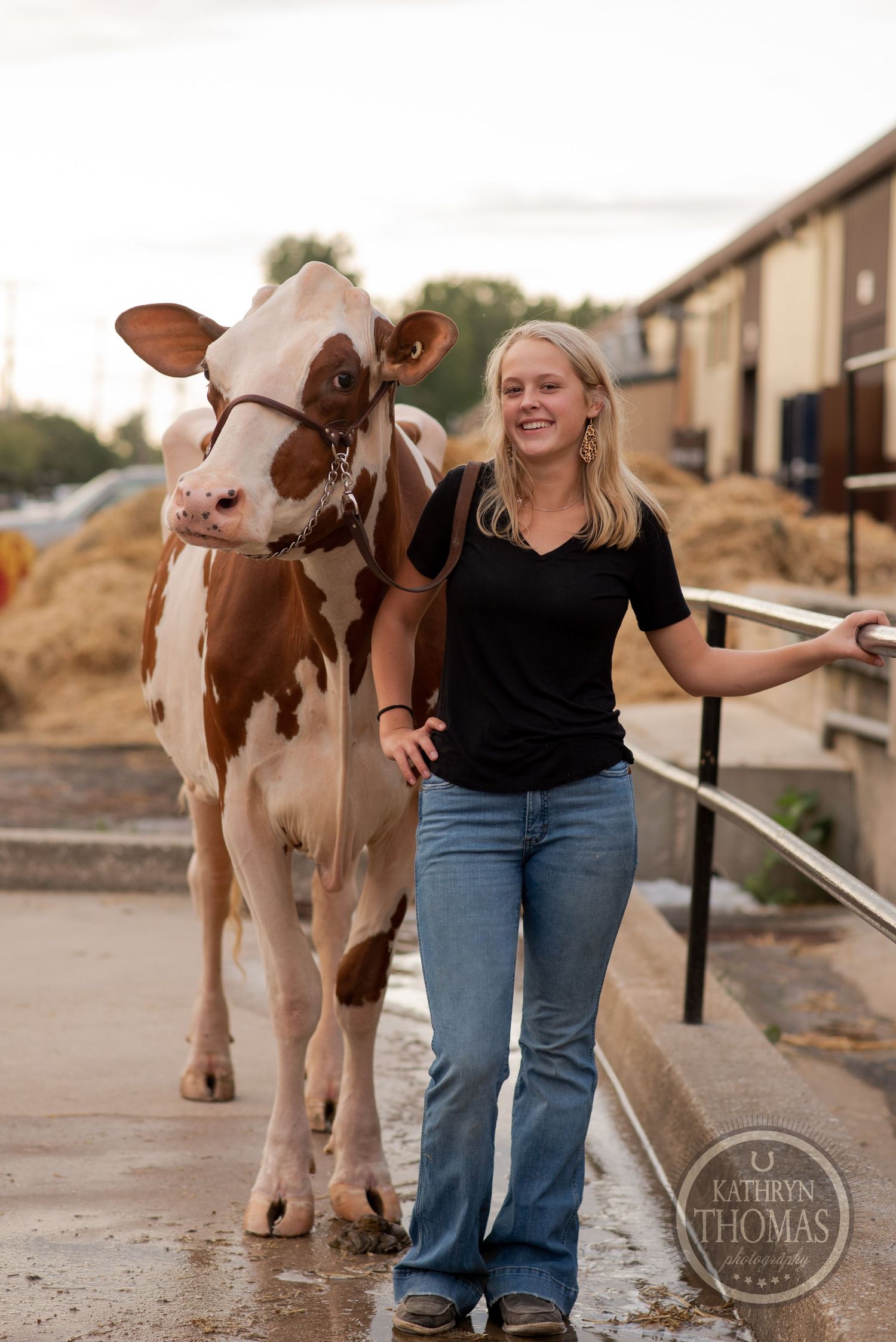 A brown and white cow walks with a person along a railing outside agricultural buildings.