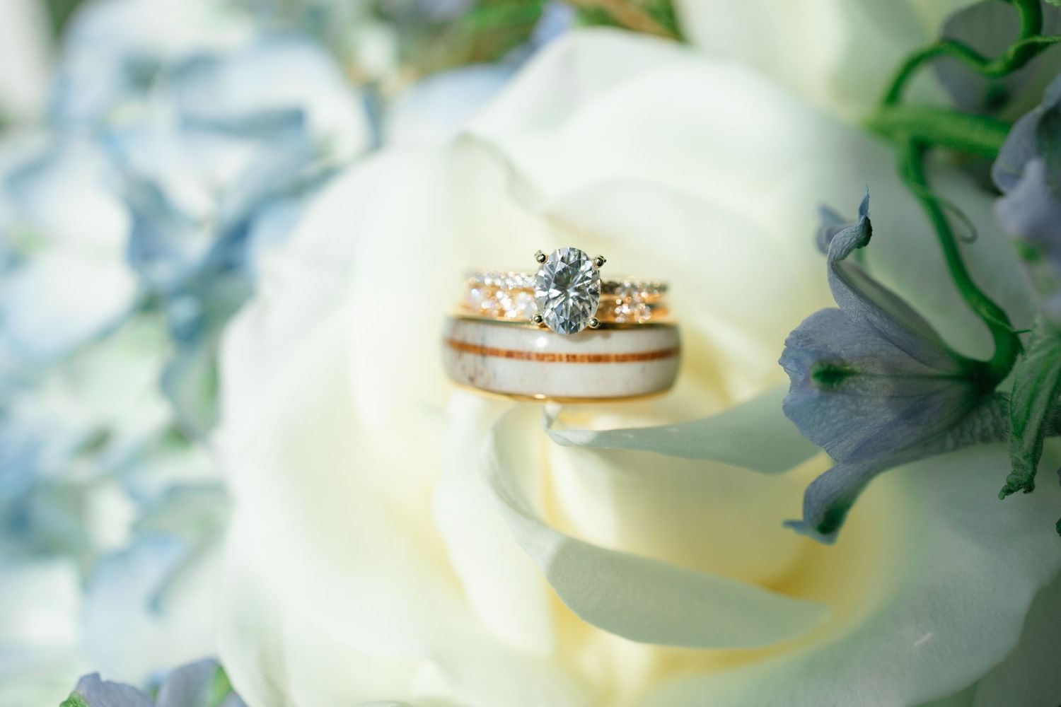 Wedding rings and engagement ring with diamond resting on a white rose with soft blue flowers nearby.