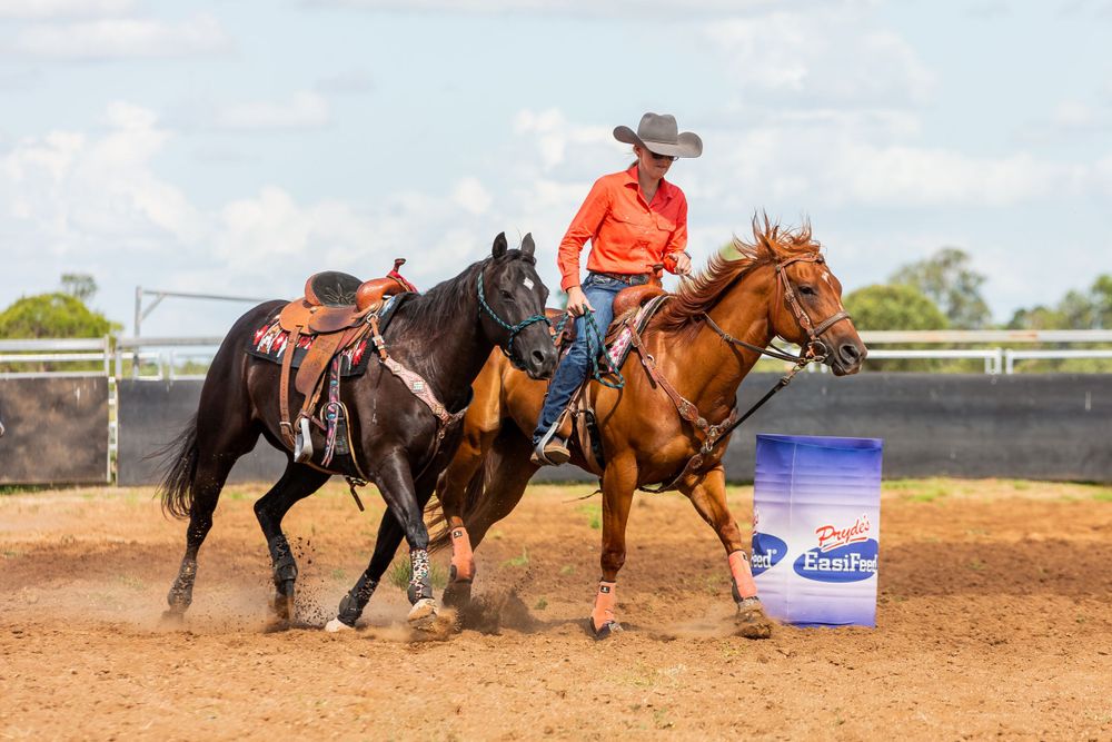 Two horses and riders navigate around a blue barrel in a rodeo competition.