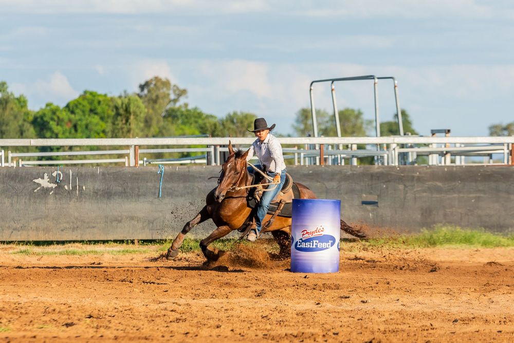 Horse and rider racing around a blue barrel in competitive rodeo event.