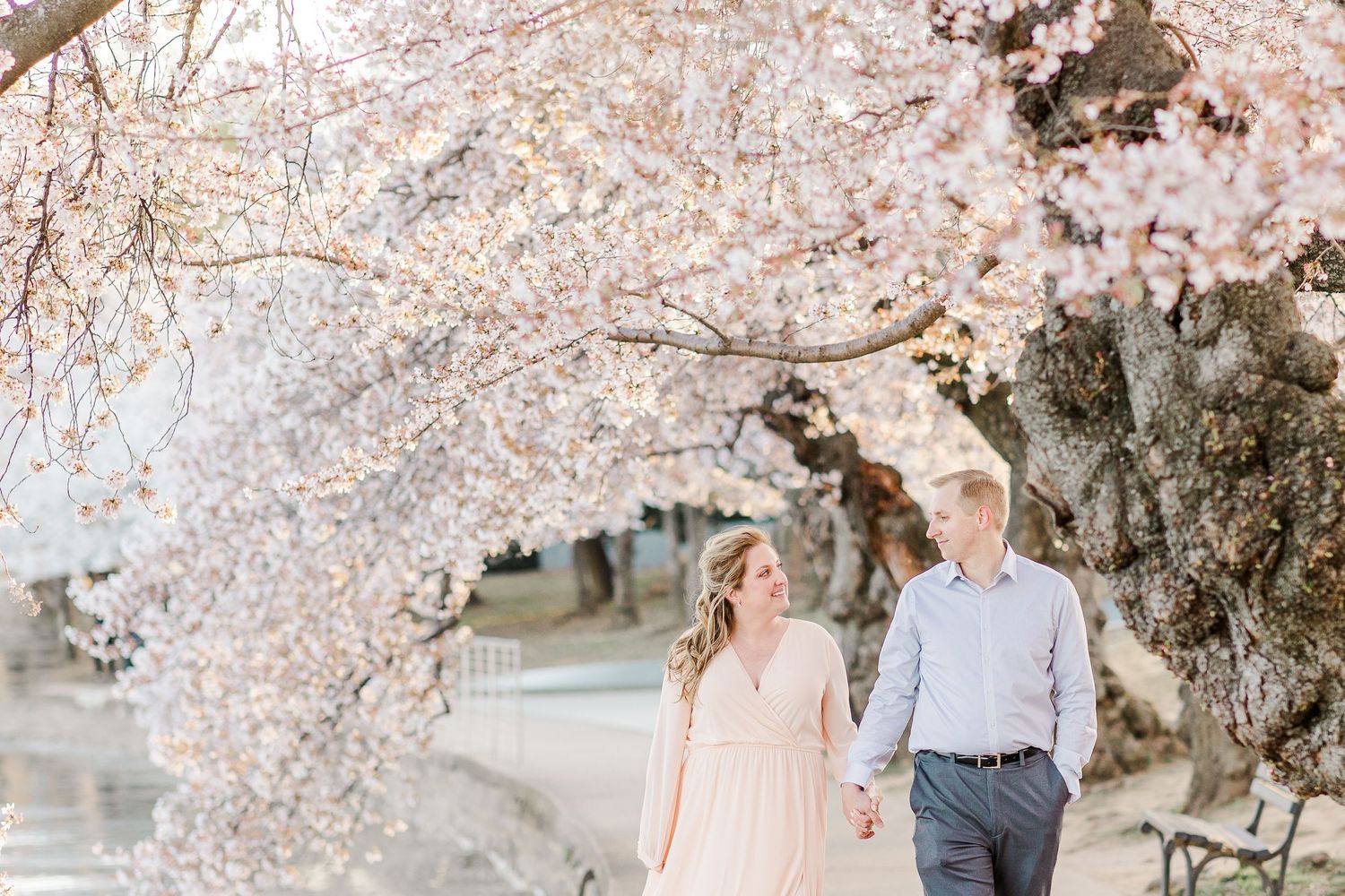 WASHINGTON DC CHERRY BLOSSOM ENGAGEMENT PICTURES