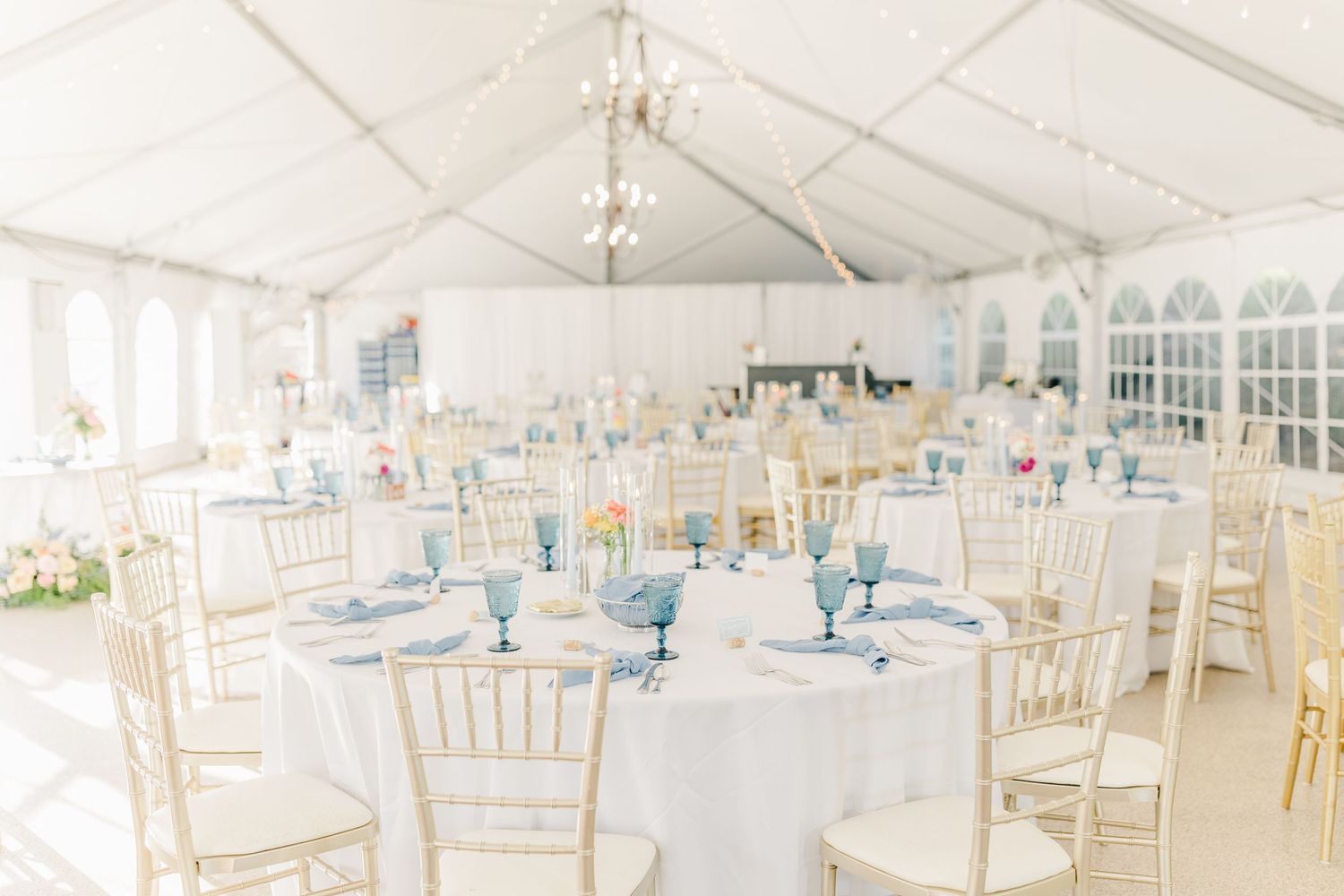 RUST MANOR HOUSE LEESBURG VIRGINIA WEDDING PICTURES RECEPTION