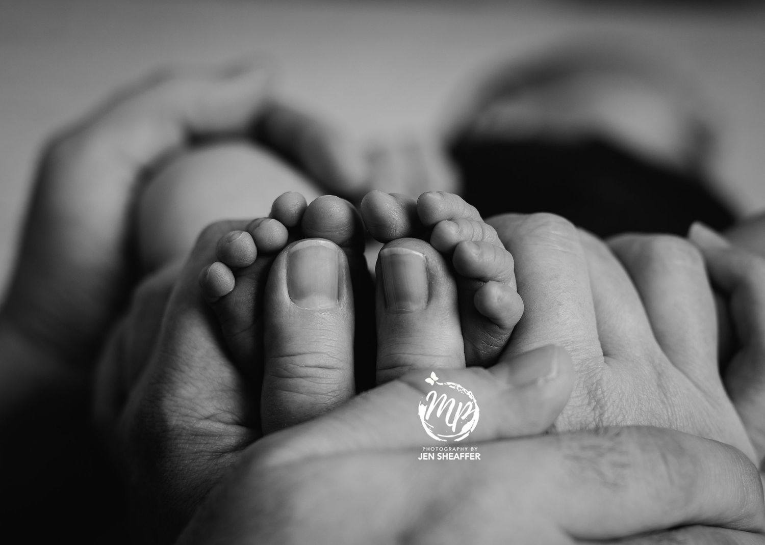 detail studio newborn images of parents hands and baby's toes