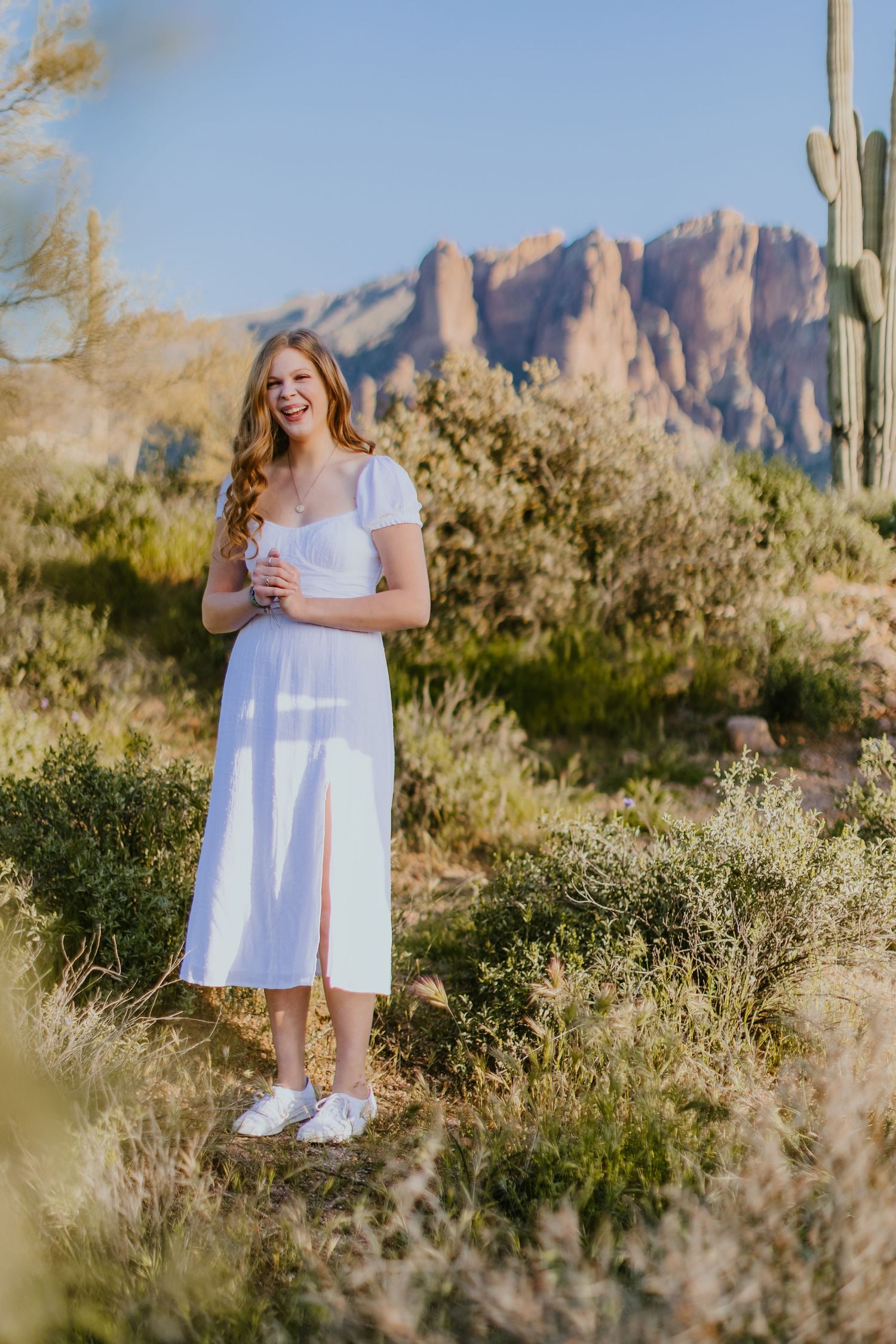 Artistic desert portrait with saguaro cacti and mountain landscape in soft lighting.