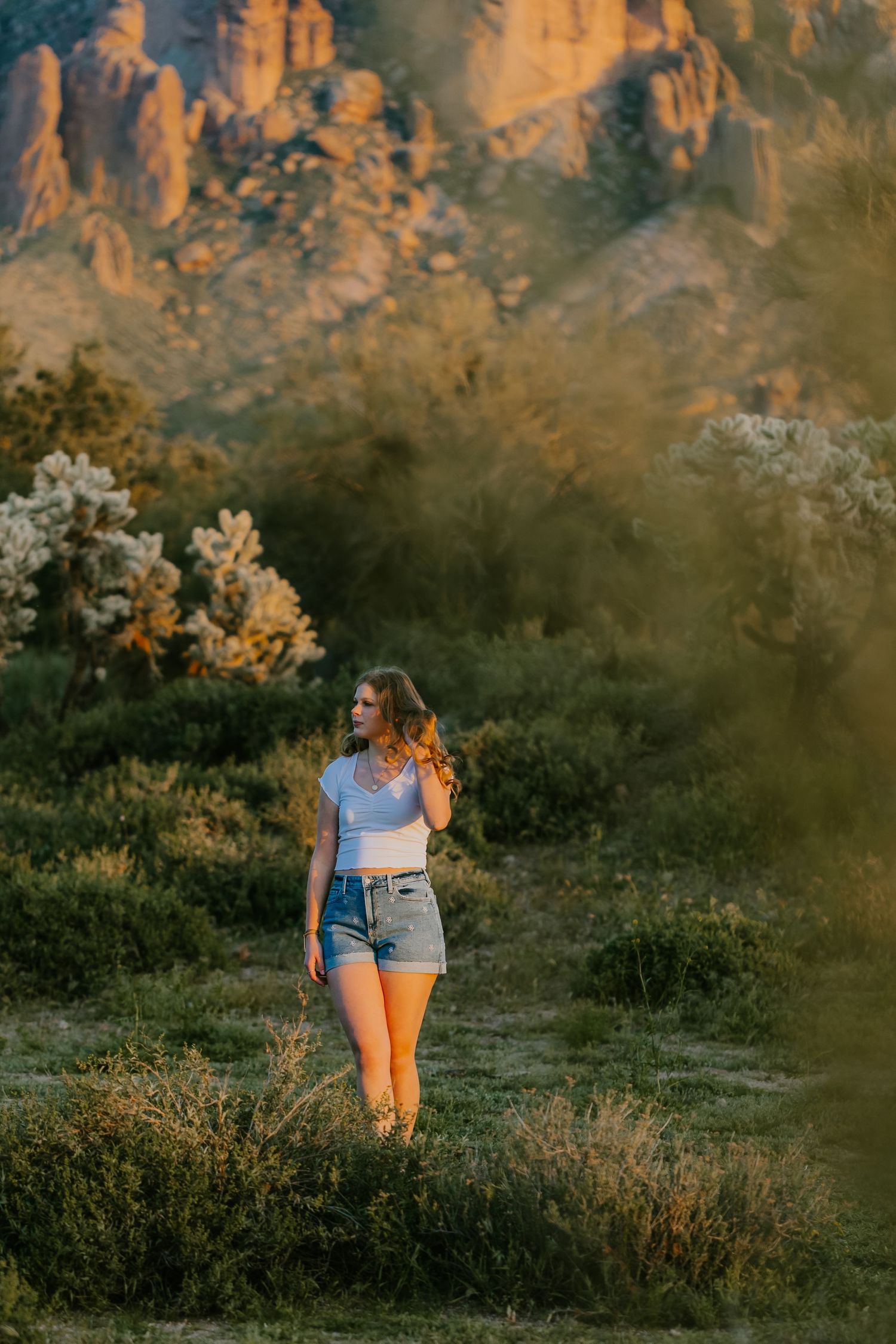 Desert landscape photography with dramatic mountain backdrop during golden hour.