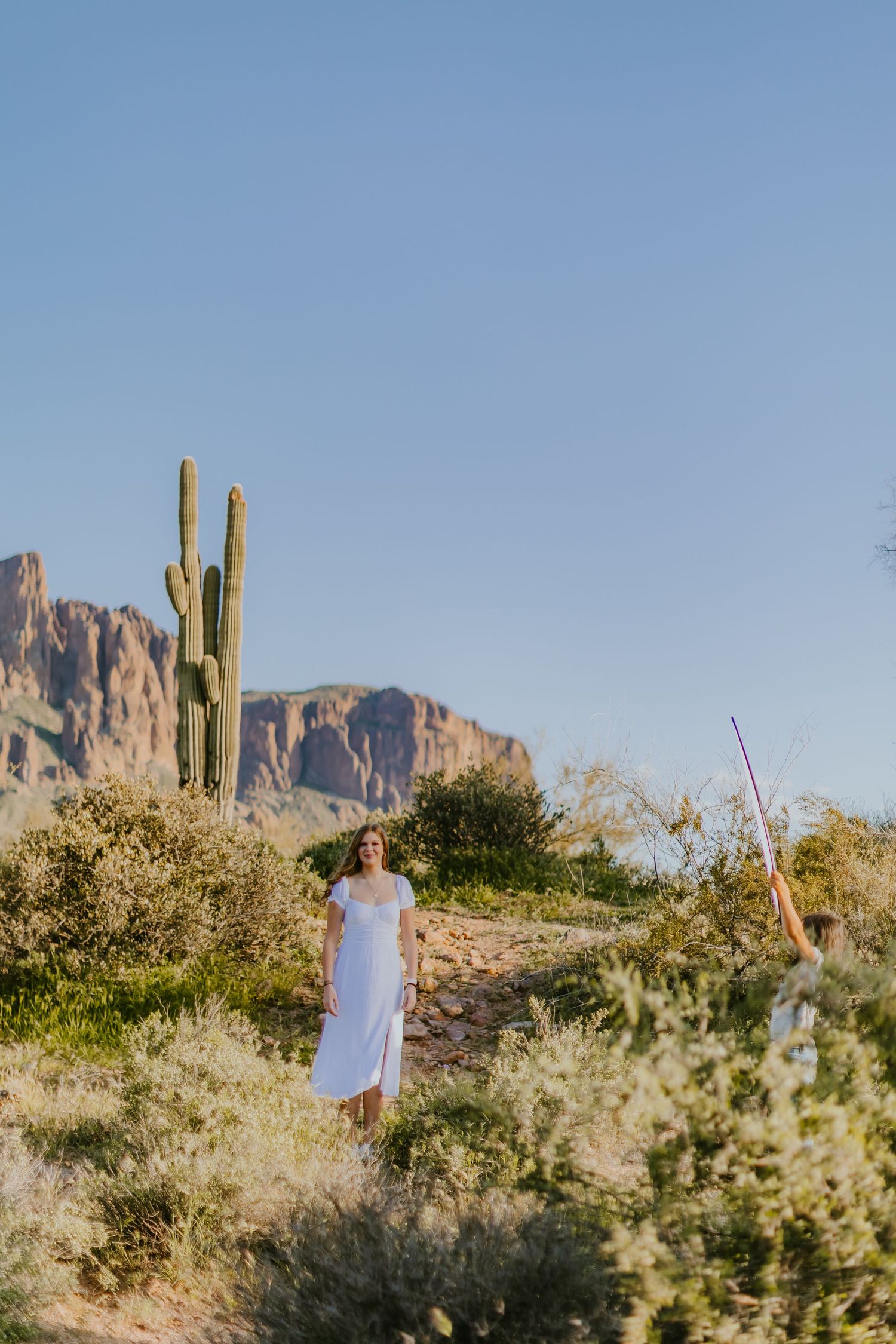 Desert landscape with saguaro cacti and mountain views under blue sky.