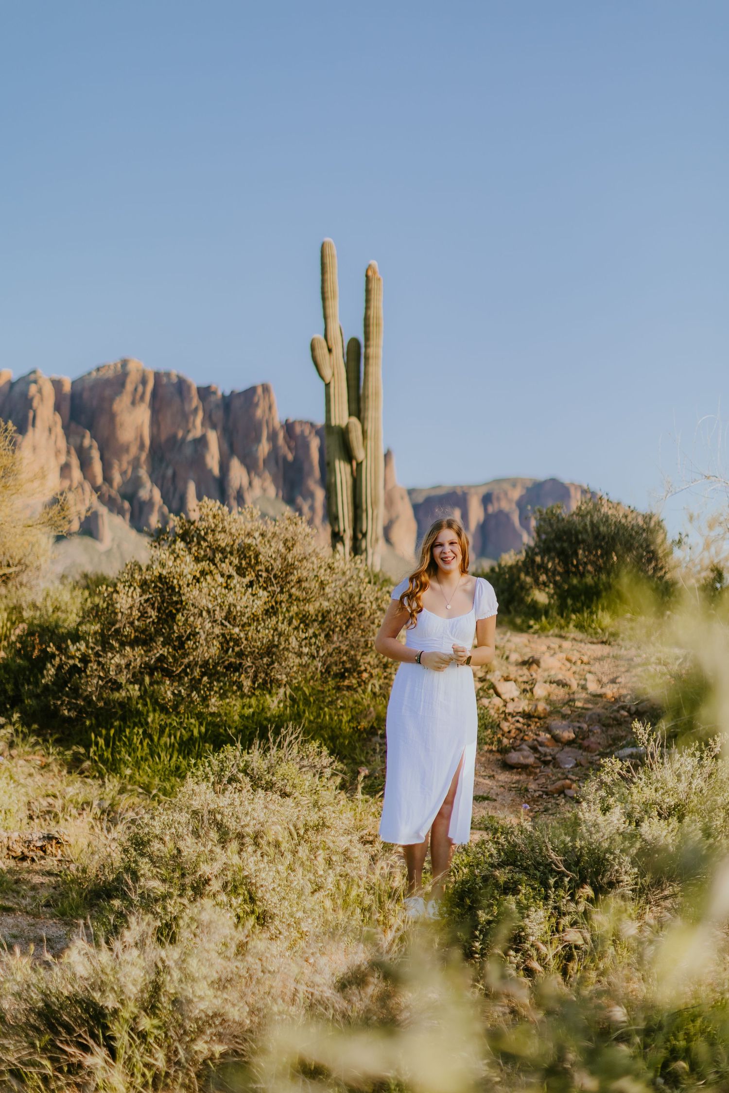 Person in white dress standing among desert brush with mountains and cacti in background.