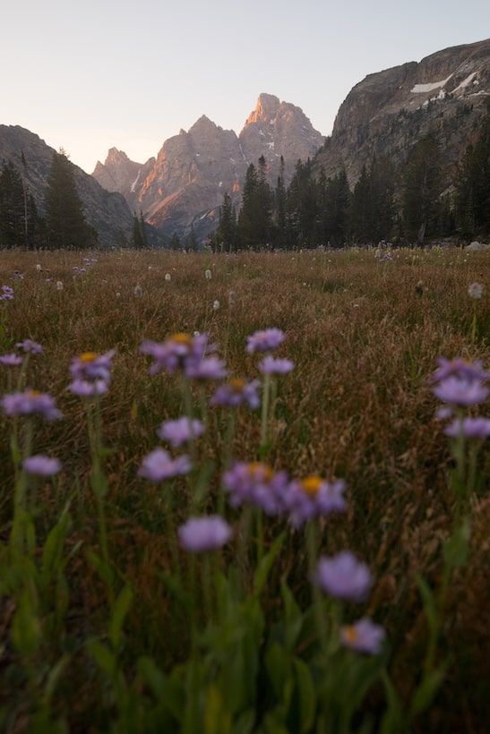 grand teton national park elopement