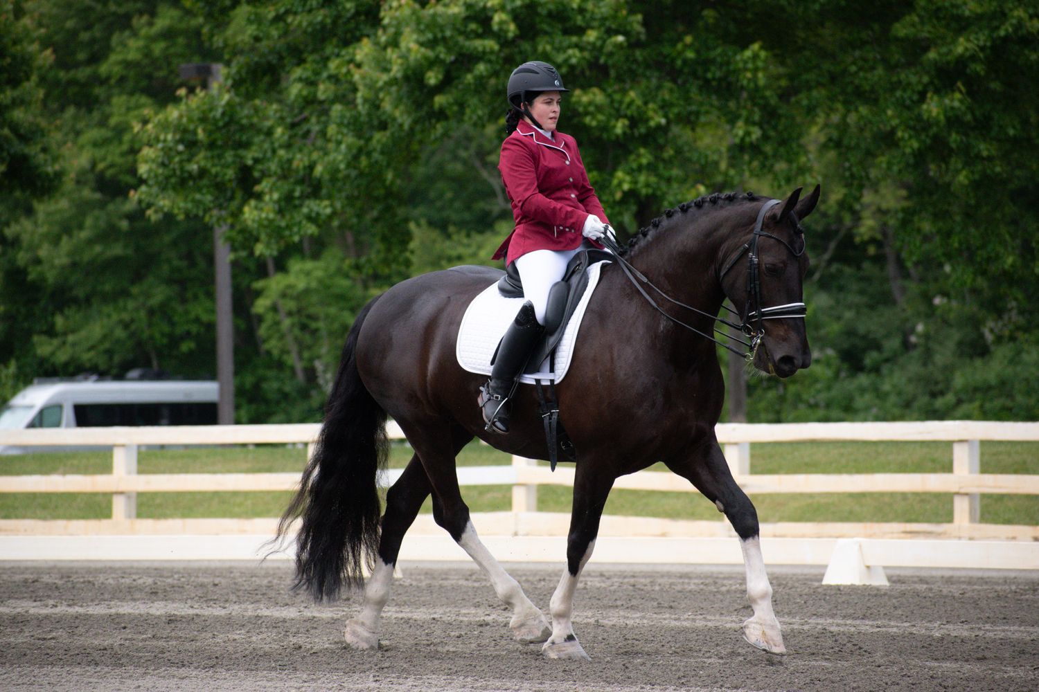 black horse with white legs trotting with rider in red jacket