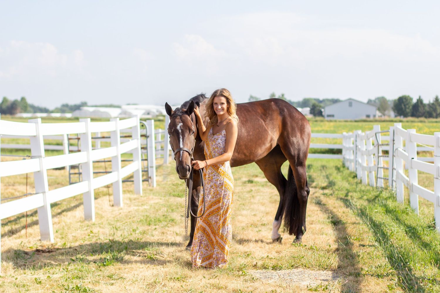 Winter Performance Horses