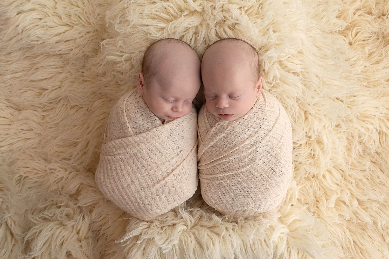 baby boy twins mini newborn session