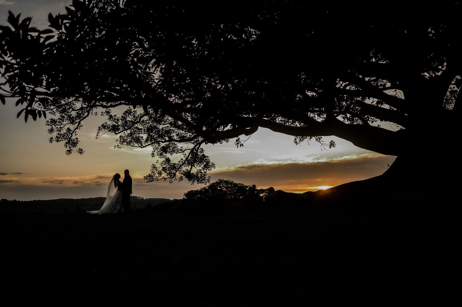 sunset wedding photos byron bay