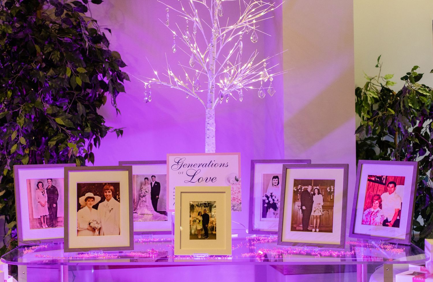 Wedding reception venue decorated with purple uplighting and photo displays along the wall.