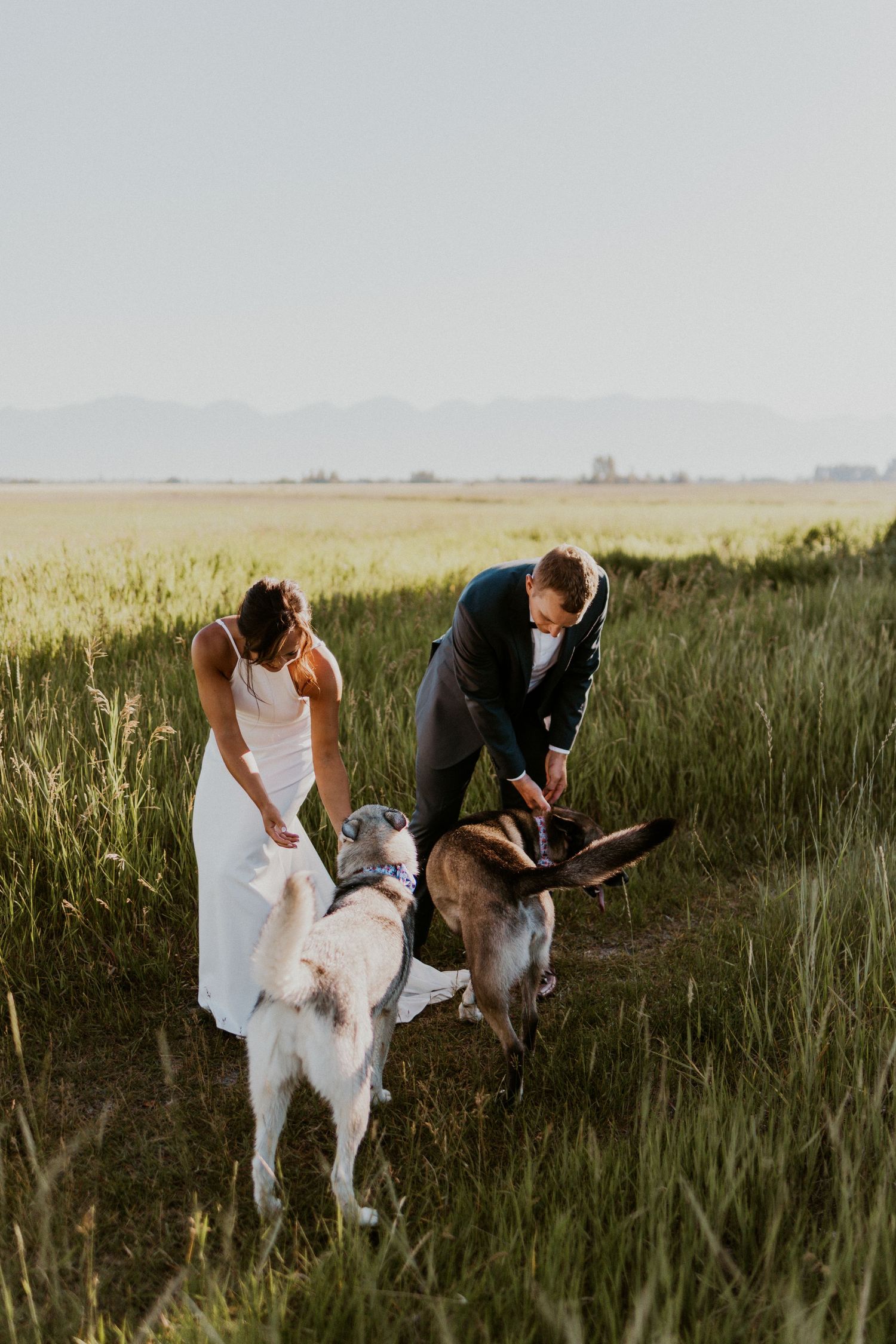 wedding couple playing with their dogs outside