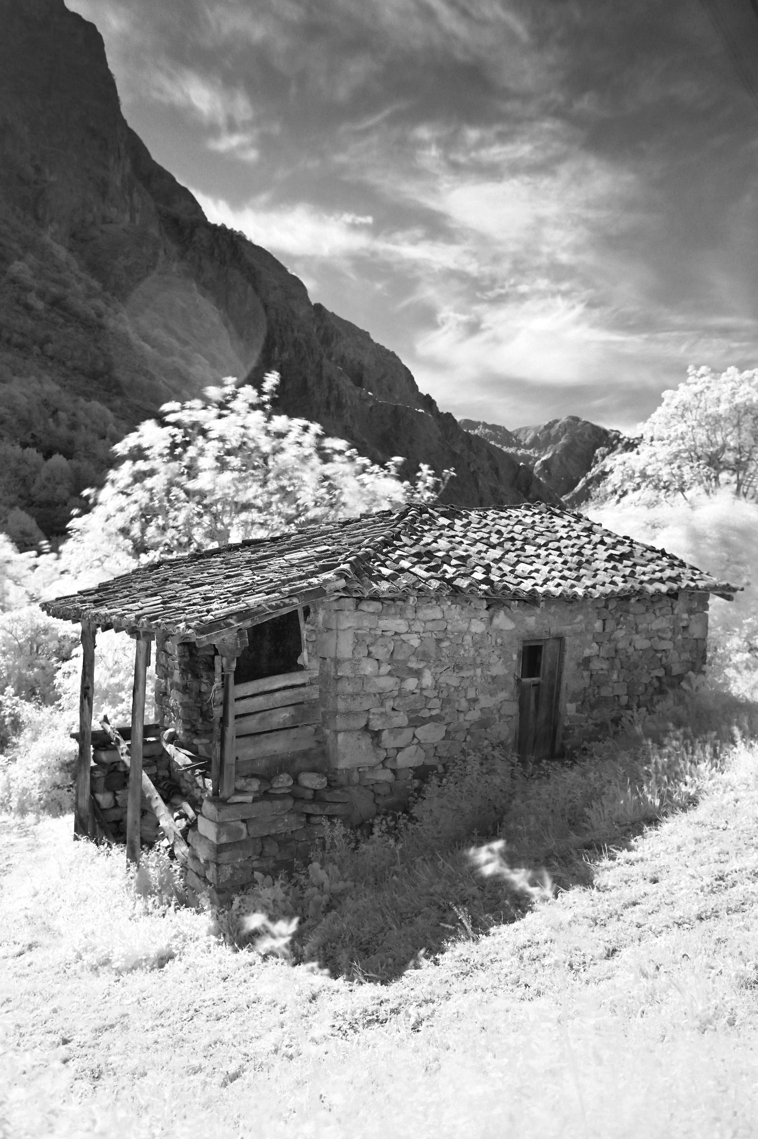 Maison de village isolé et arbre en Asturies / Espagne