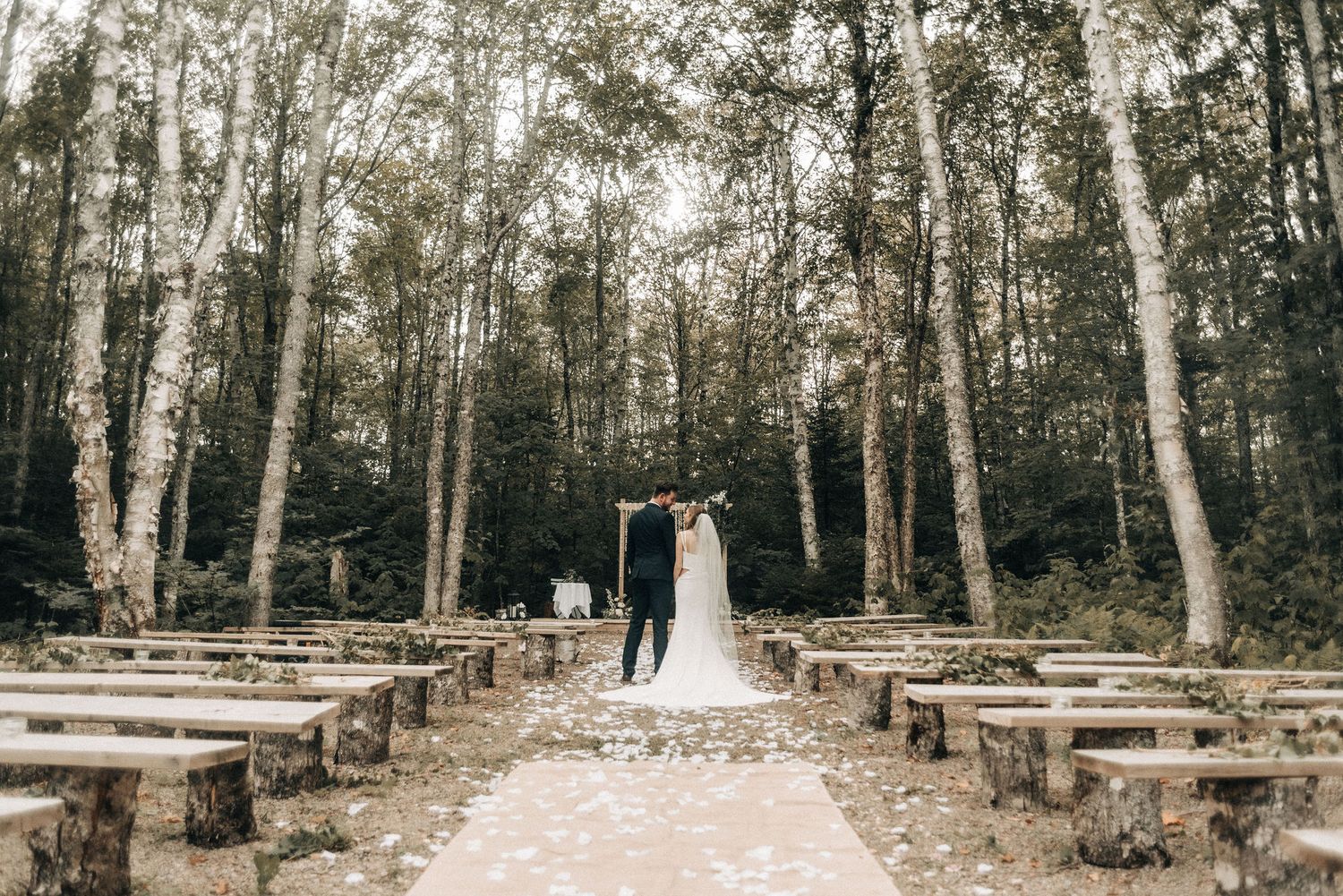 Woodland wedding ceremony setup with wooden benches and a birch tree backdrop.