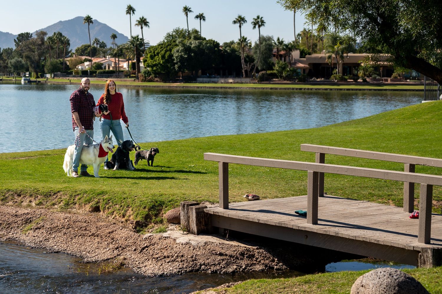 AZ dog family photoshoot. Pheonix area photographer takes photo of CEO with her dogs and sig other. AZ photoshoot.