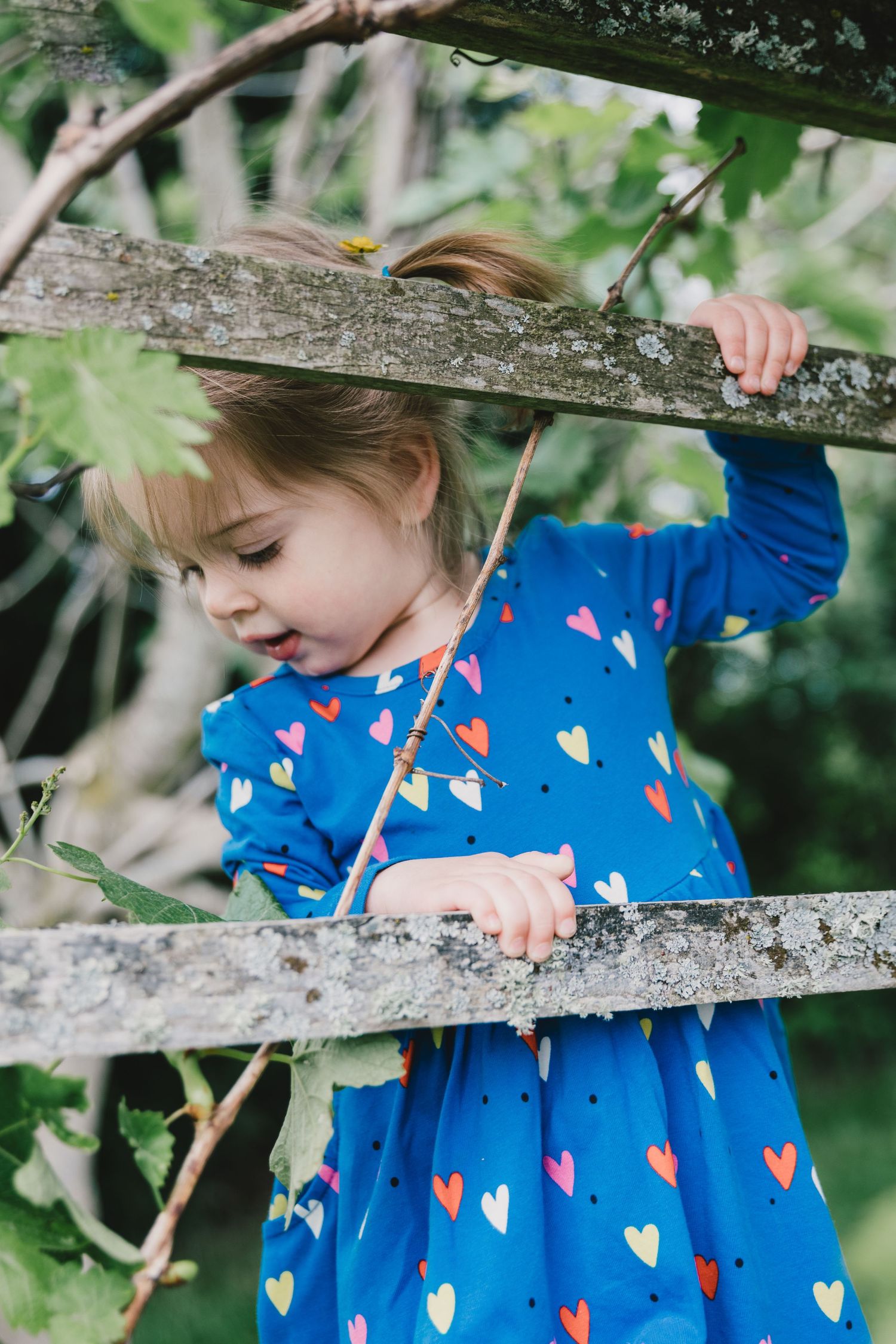 Toddler Photo Session in Seattle
