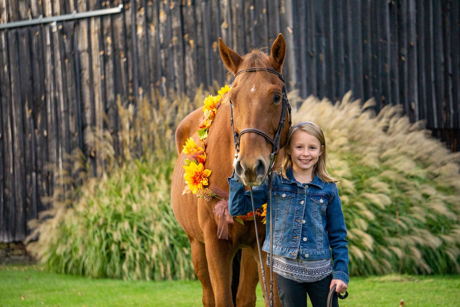 Equine photographer, Lehigh valley, black backgrounds, mo equine photography, horse and rider sessions, pet photography